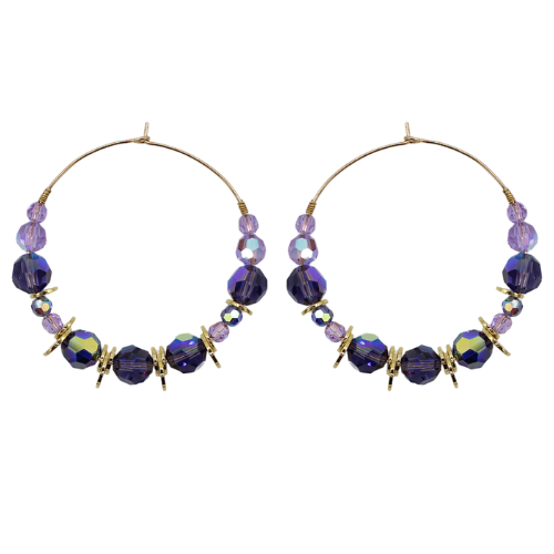 Disc Hoops